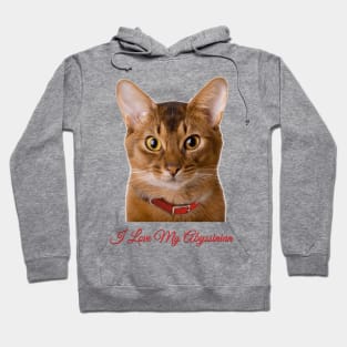 Abyssinian Cat T Shirt Hoodie